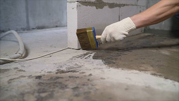 SJ Waterproofing Pros Interior Drainage System coverage map for Williamston, NC and surrounding area